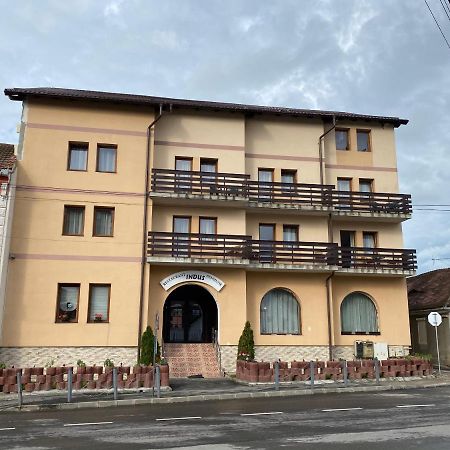 Pensiune Restaurant Indus Ocna Sibiului Zewnętrze zdjęcie