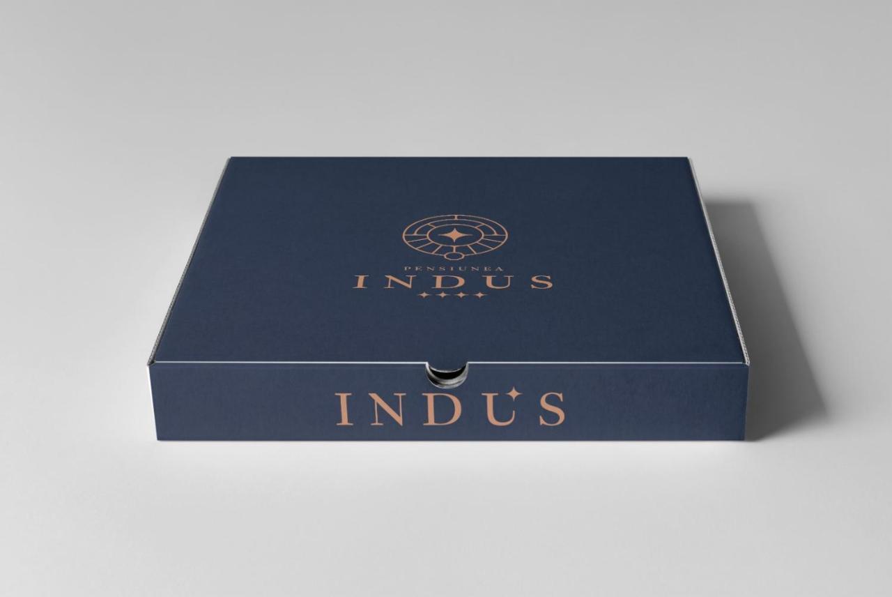 Pensiune Restaurant Indus Ocna Sibiului Zewnętrze zdjęcie
