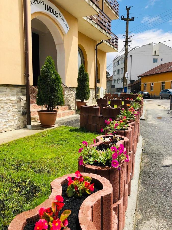 Pensiune Restaurant Indus Ocna Sibiului Zewnętrze zdjęcie
